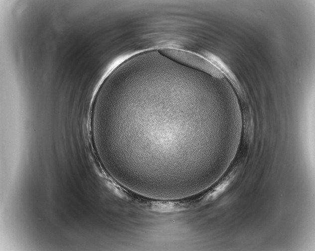 X0000085300956200703161431