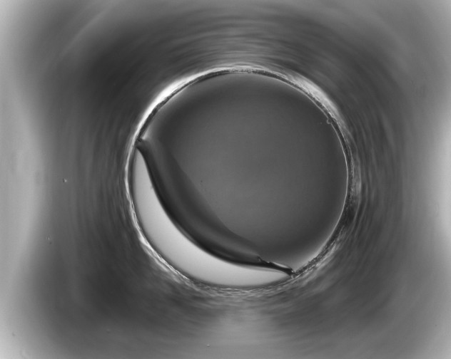 X0000085300958200703161431