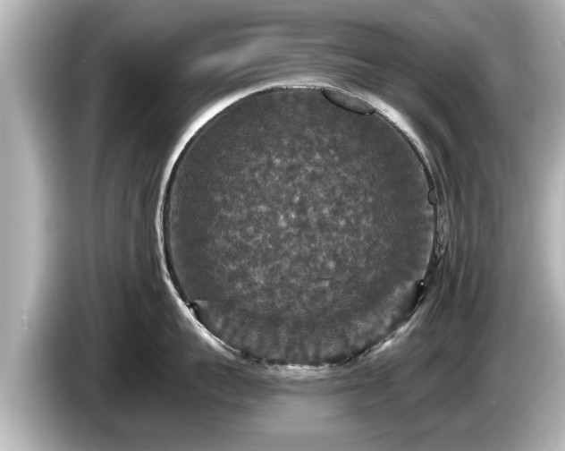 X0000085300959200703161431