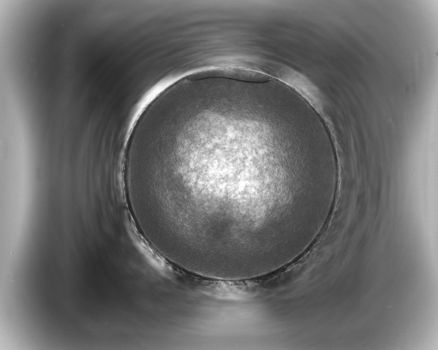 X0000085300960200703161431