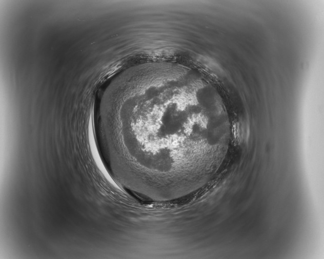 X0000085300963200703161431