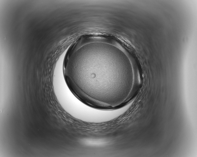 X0000085300965200703161431