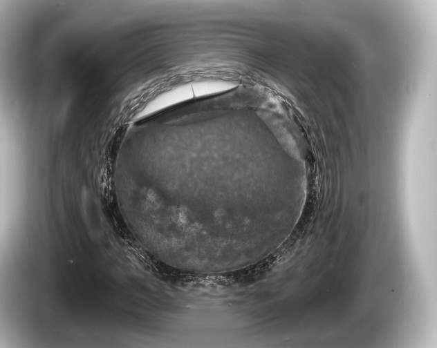 X0000085300966200703161431