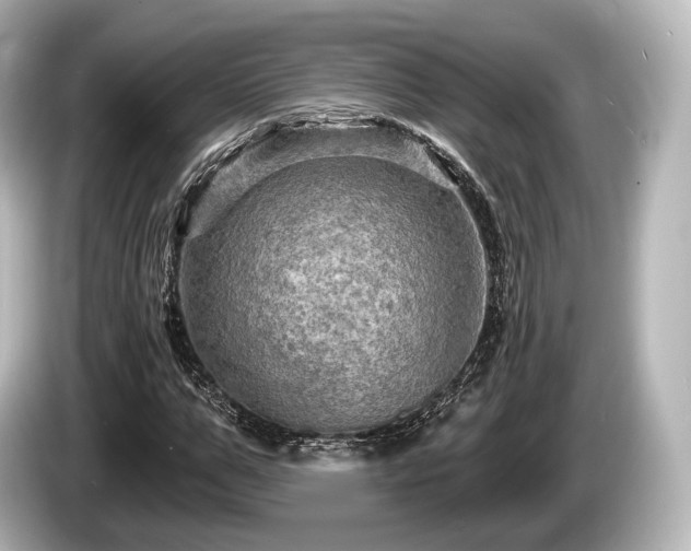 X0000085300967200703161431