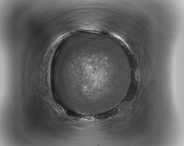 X0000085300968200703161431