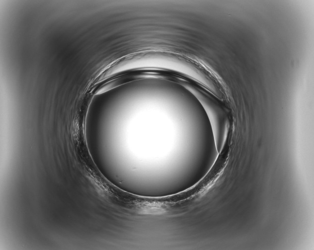 X0000085300969200703161431