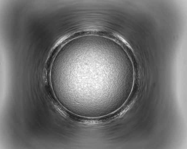 X0000085300970200703161431