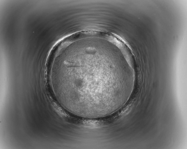 X0000085300971200703161431