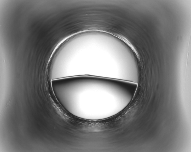 X0000085300972200703161431