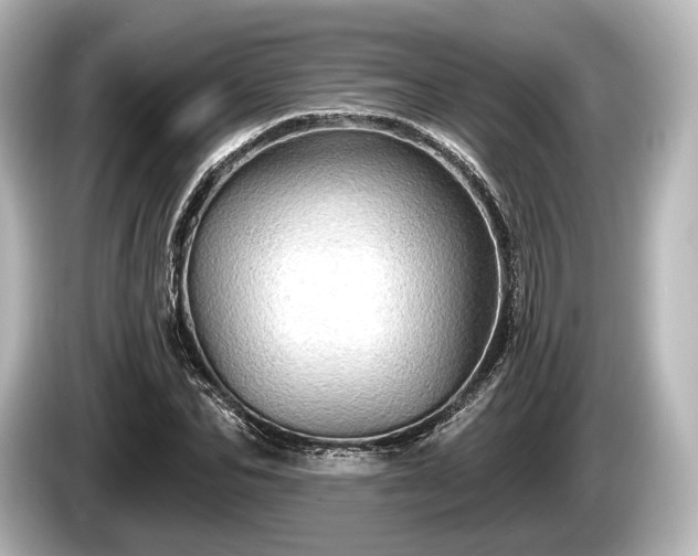 X0000085300974200703161431