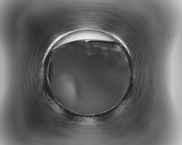 X0000085300975200703161431