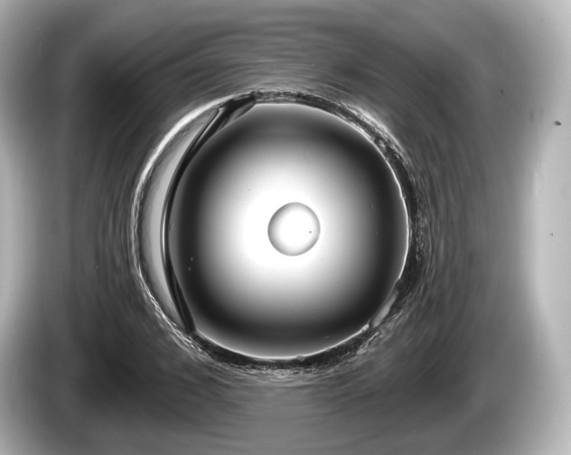 X0000085300976200703161431