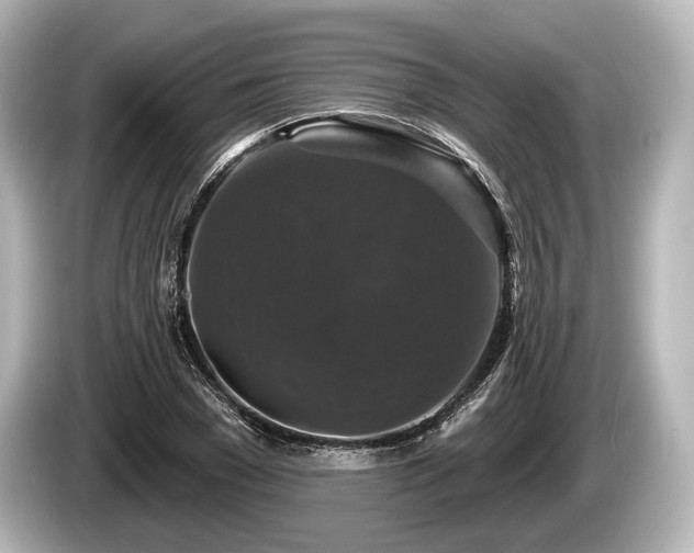 X0000085300977200703161431