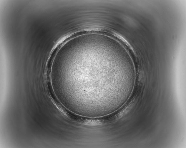 X0000085300978200703161431