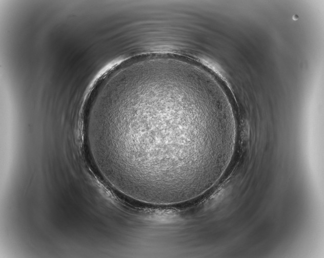 X0000085300979200703161431