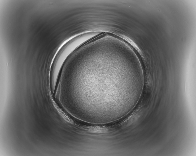 X0000085300980200703161431