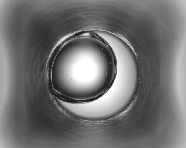 X0000085300981200703161431