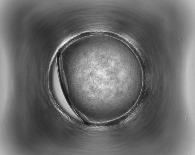 X0000085300982200703161431