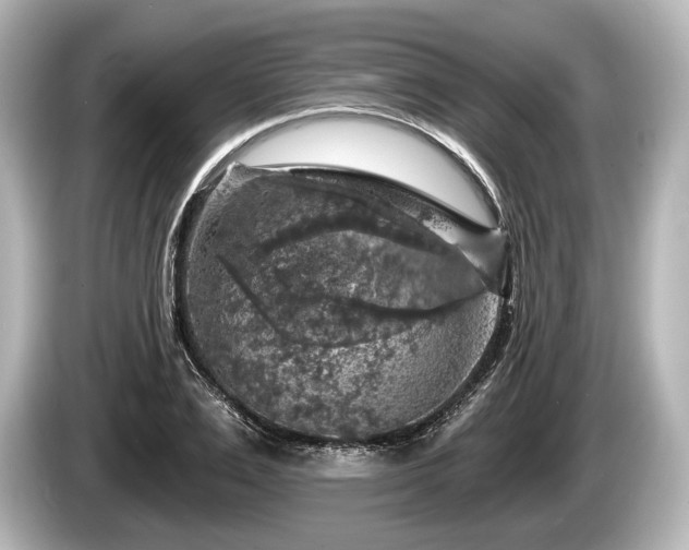 X0000085300983200703161431