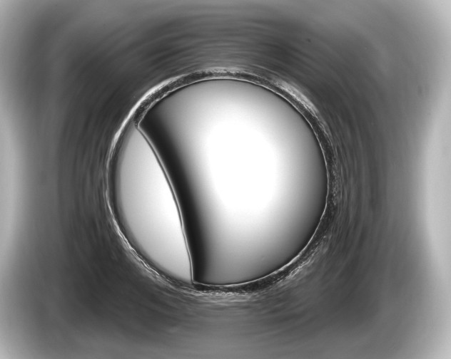 X0000085300984200703161431