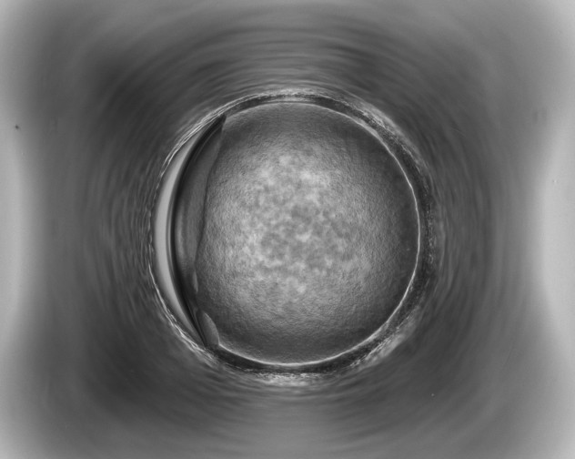 X0000085300985200703161431