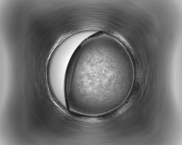 X0000085300986200703161430