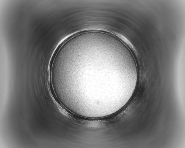 X0000085300988200703161430