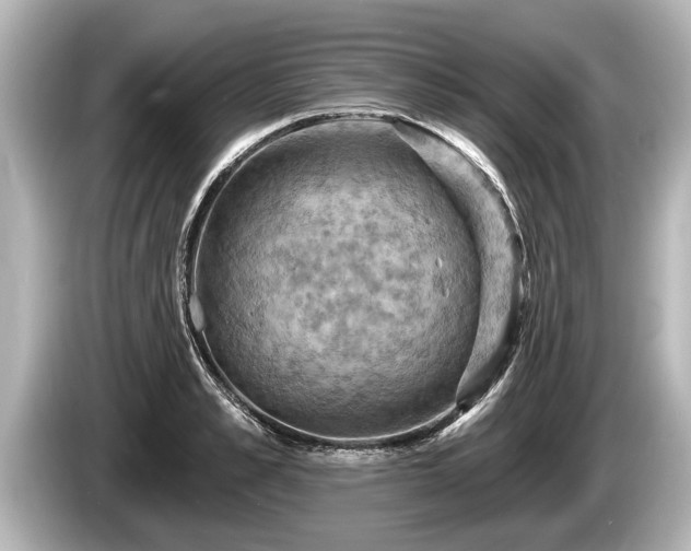 X0000085300989200703161430