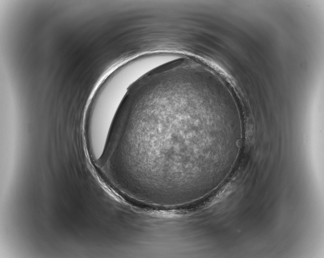 X0000085300990200703161430