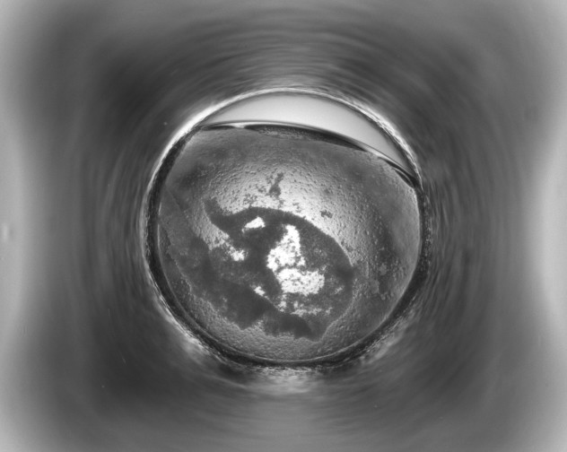 X0000085300991200703161430