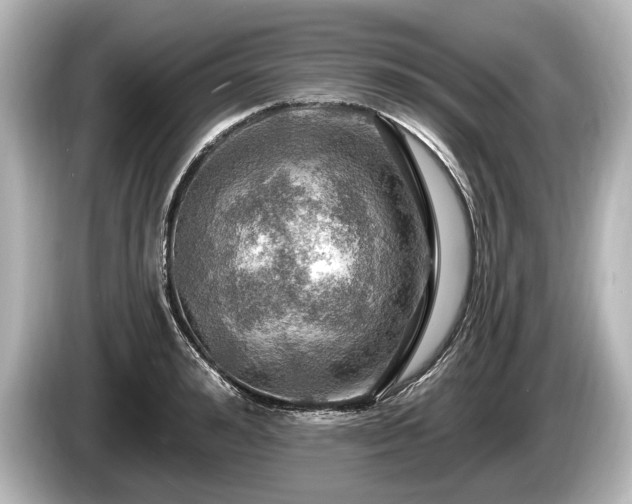 X0000085300992200703161430