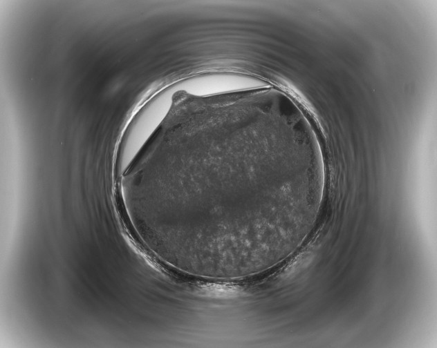 X0000085300994200703161430