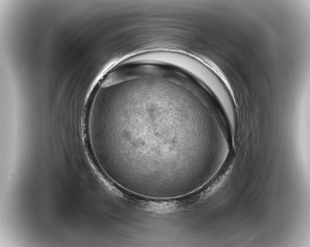 X0000085300997200703161430