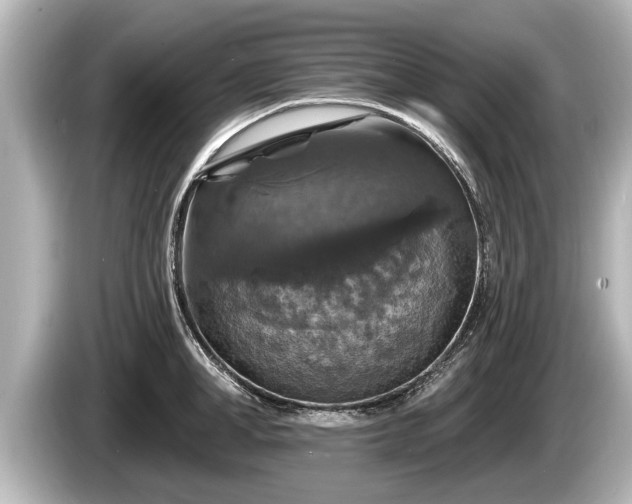 X0000085300998200703161430