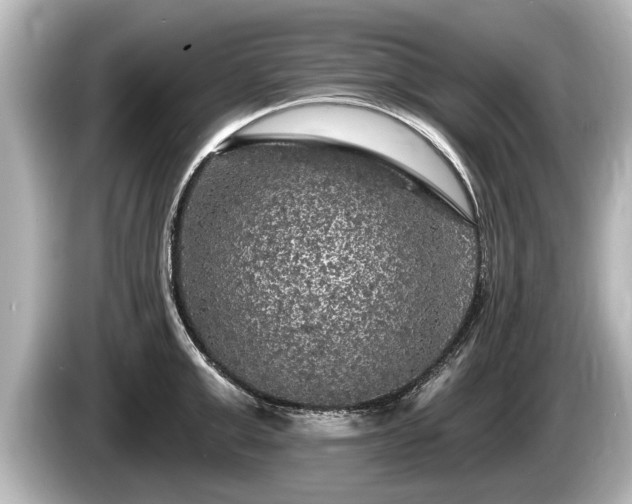 X0000085300999200703161430