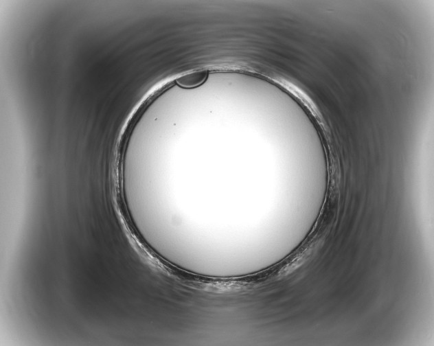 X0000085301000200703161430