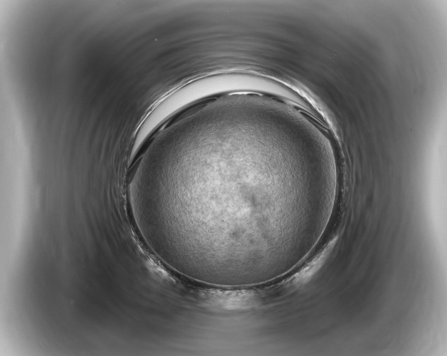 X0000085301001200703161430