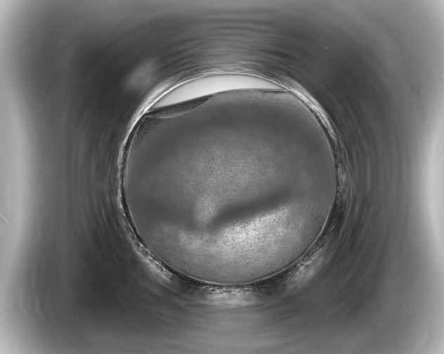 X0000085301002200703161430