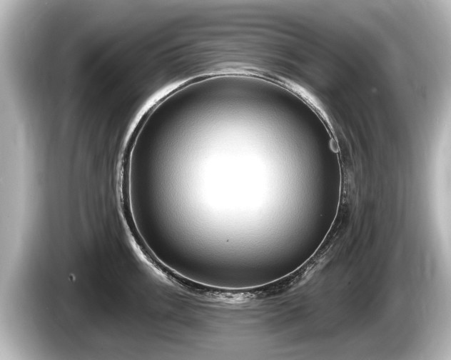 X0000085301003200703161430