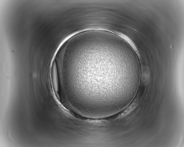 X0000085301004200703161430