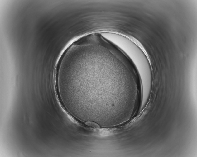 X0000085301005200703161430