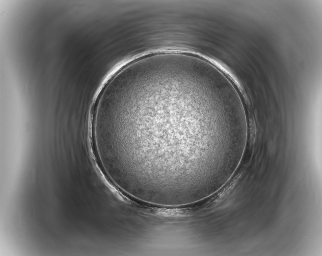 X0000085301006200703161430