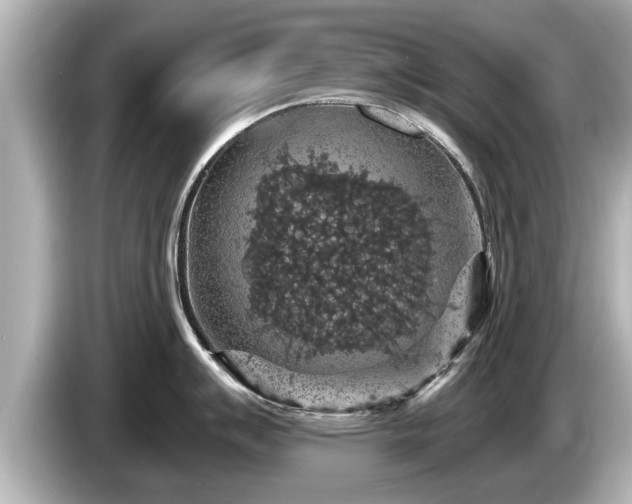 X0000085301007200703161430