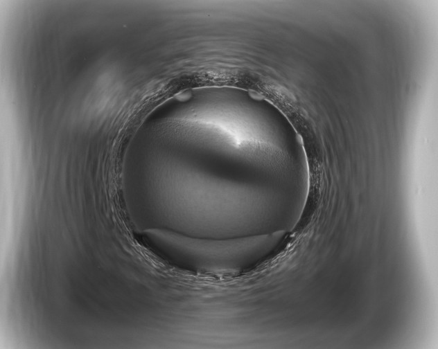 X0000085301009200703161430