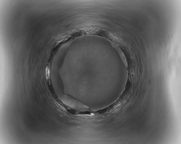 X0000085301010200703161430