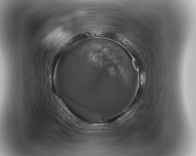 X0000085301011200703161430