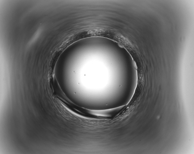 X0000085301012200703161430