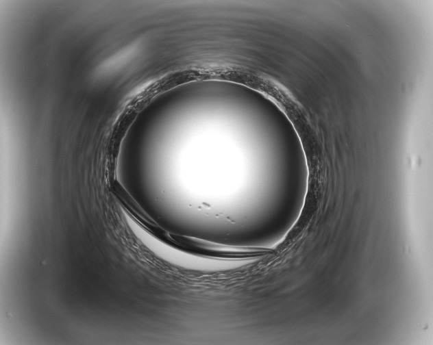 X0000085301016200703161430