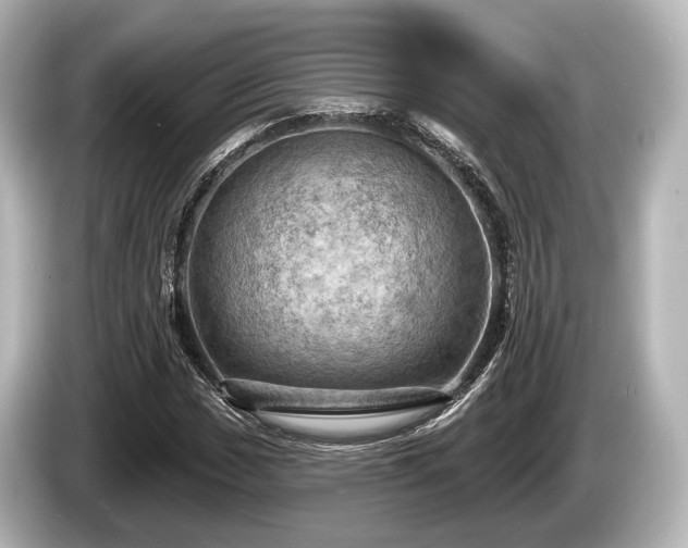 X0000085301017200703161430