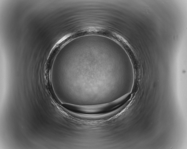 X0000085301018200703161430